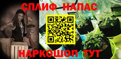 ПСИЛОЦИБИНОВЫЕ ГРИБЫ Татарск