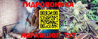 ПСИЛОЦИБИНОВЫЕ ГРИБЫ Татарск