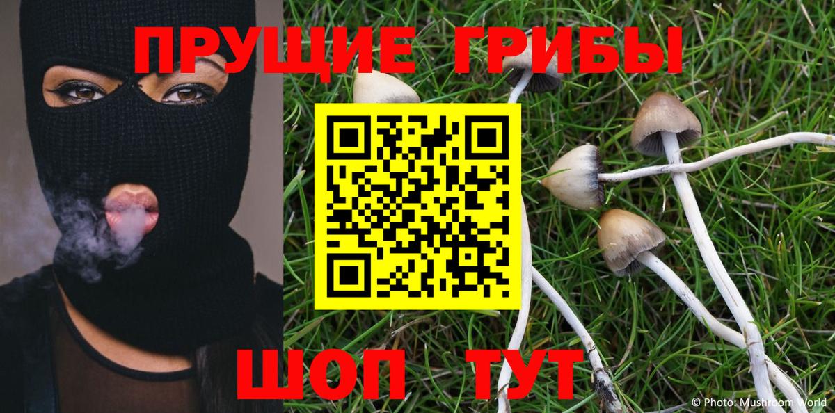Нижнеудинск  Псилоцибиновые грибы Magic Shrooms  Вход с VPN  Галлюциногенные грибы прущие грибы 