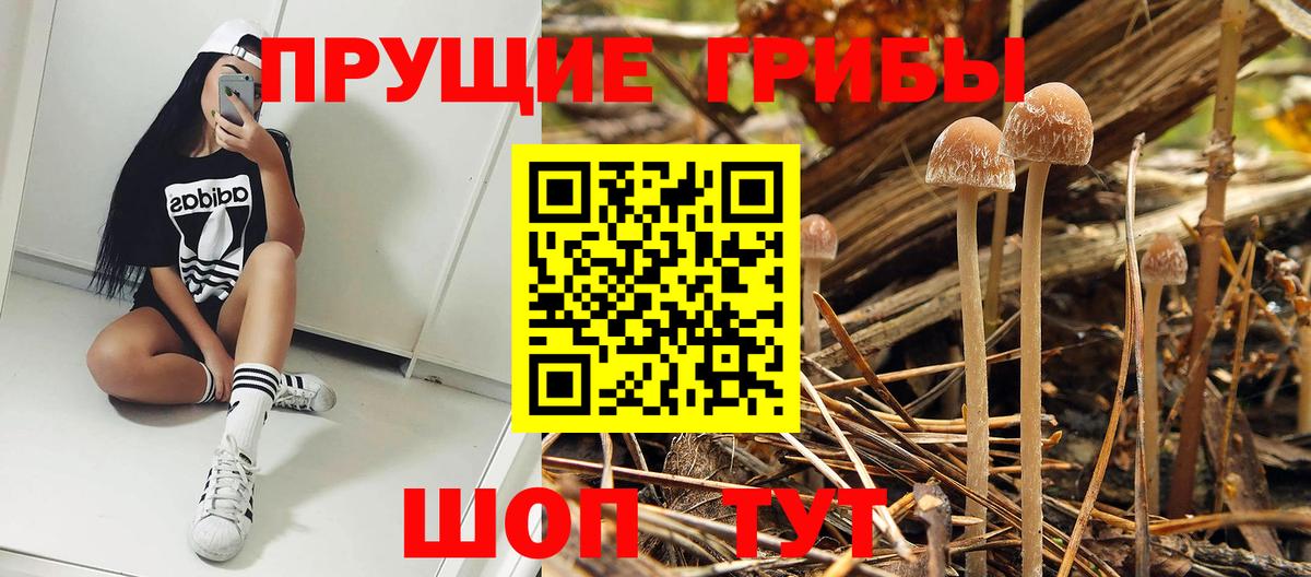 ТГК Нижнеудинск