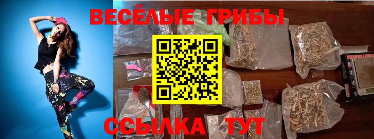 Псилоцибиновые грибы MAGIC MUSHROOMS Нижнеудинск
